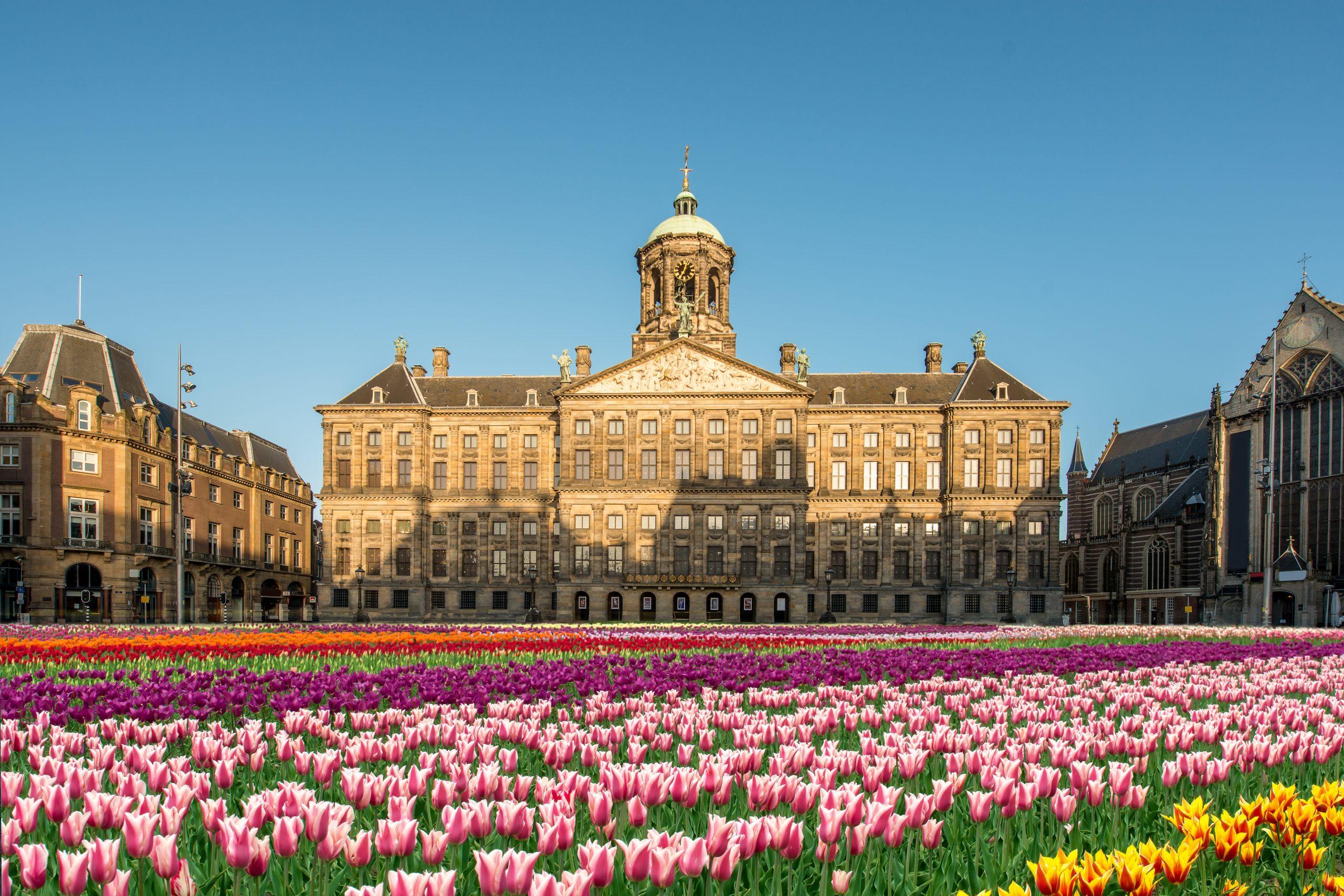 National,Tulip,Day,At,The,Dam,Square,With,The,Royal